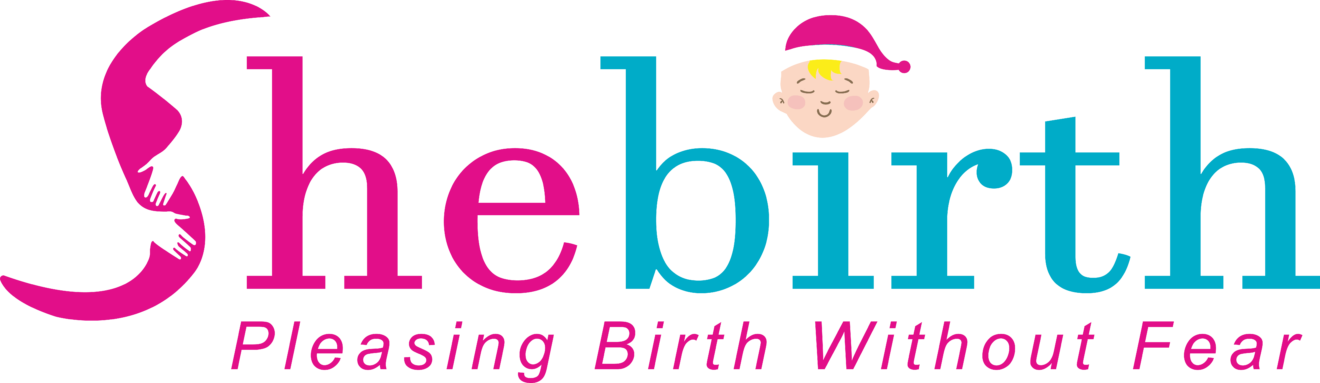 payment.shebirth.com